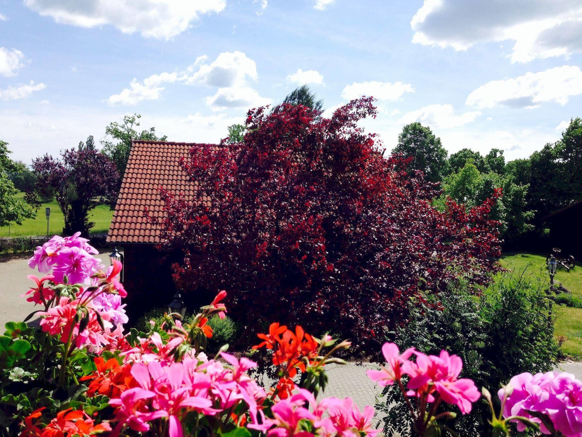 Hotel & Restaurant Zur Spreewaelderin Golßen Εξωτερικό φωτογραφία
